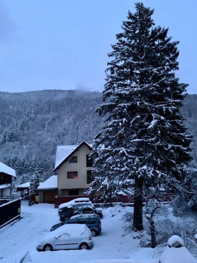 Holiday Home In 锡纳亚 外观 照片